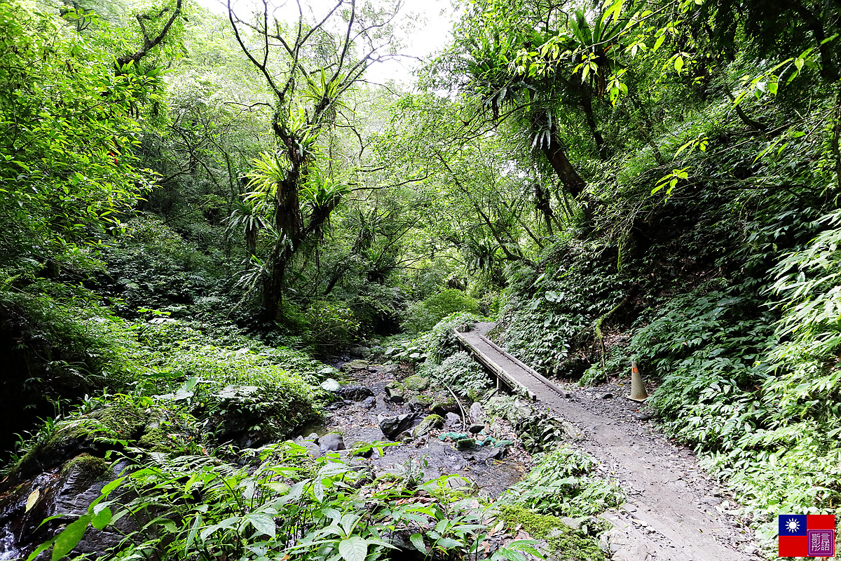 抹茶山 (78).JPG