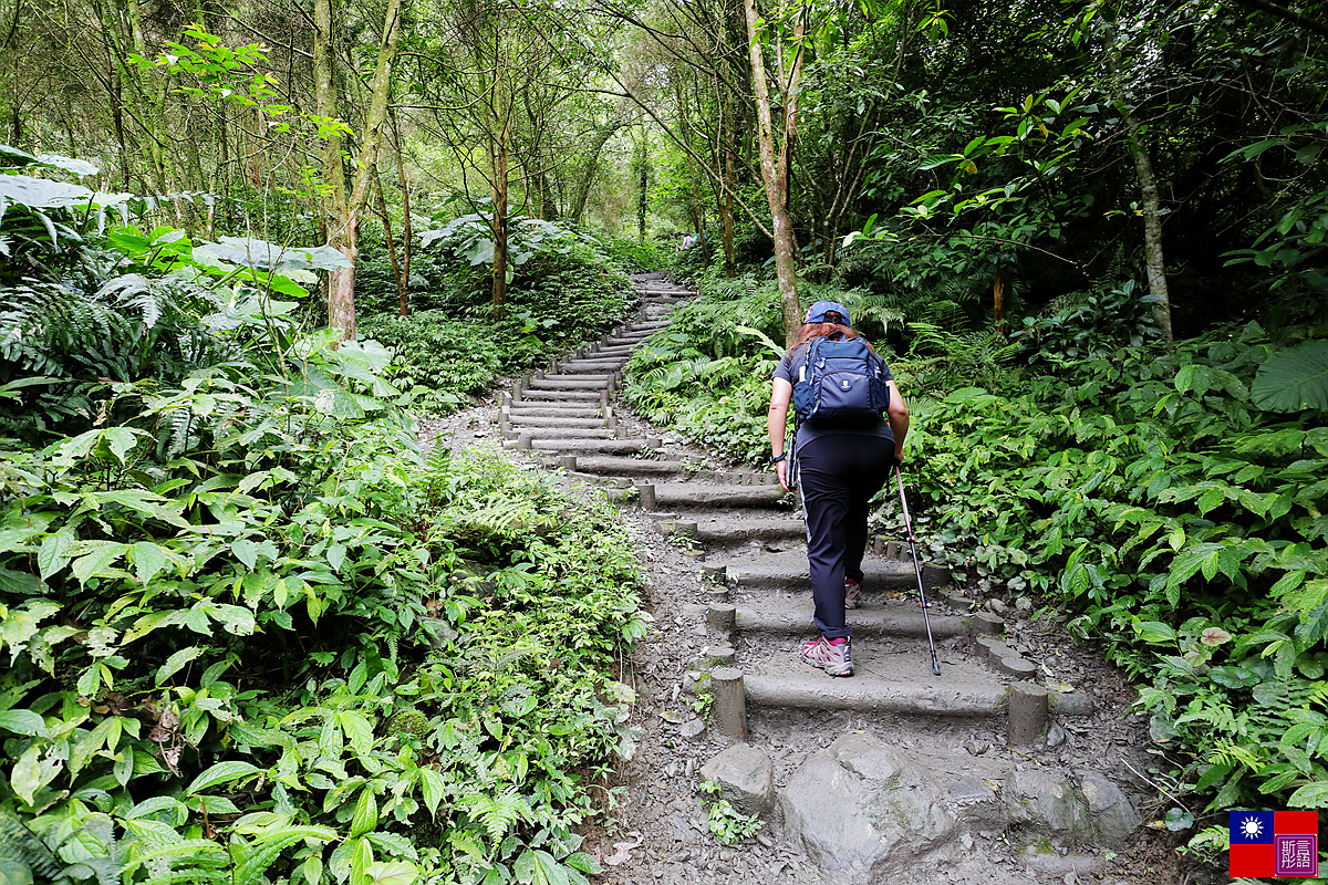 抹茶山 (79).JPG