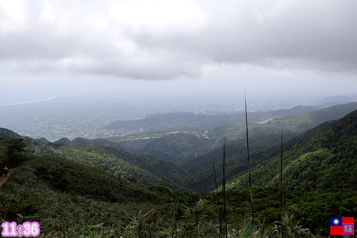 抹茶山 (95).JPG