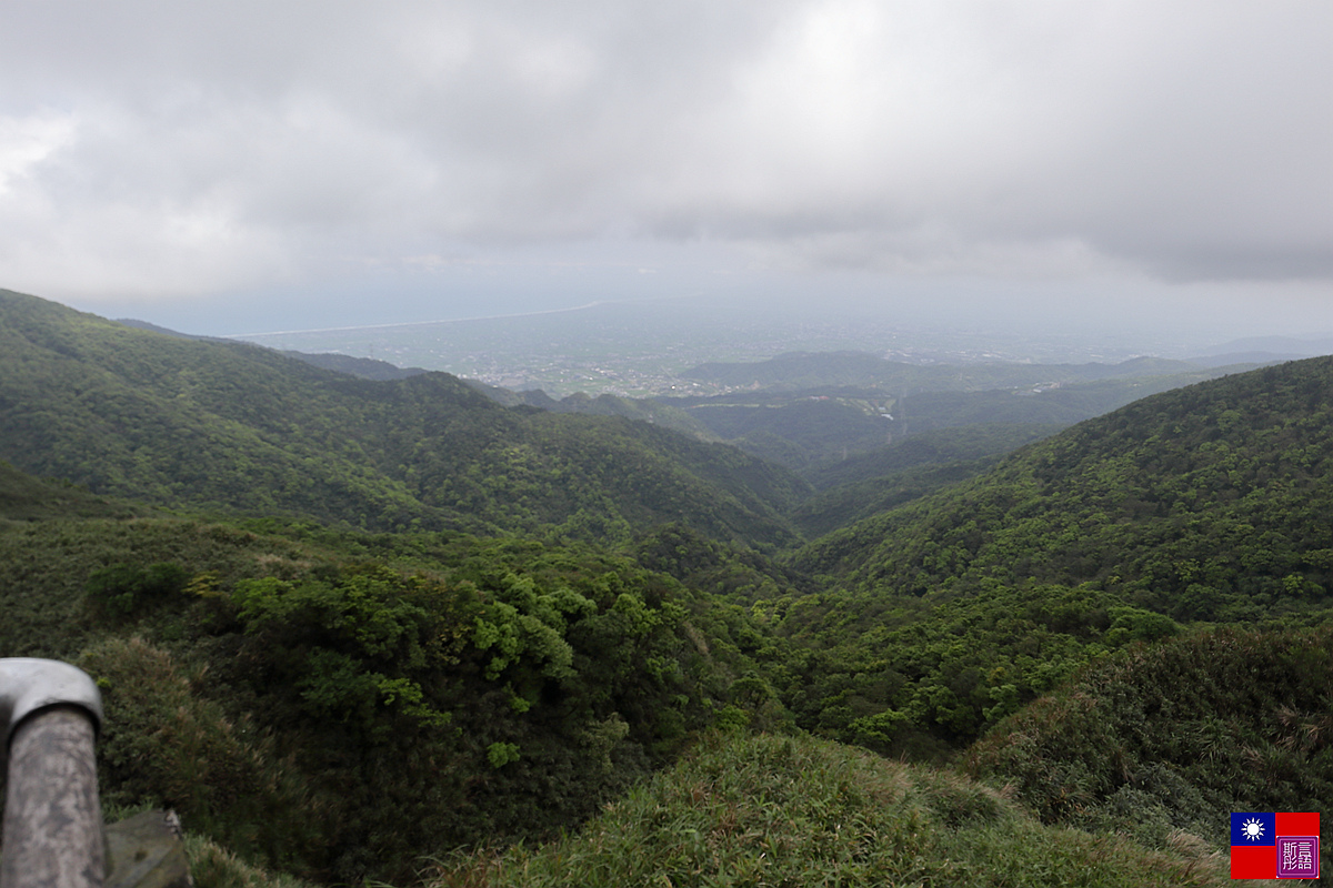 抹茶山 (117).JPG