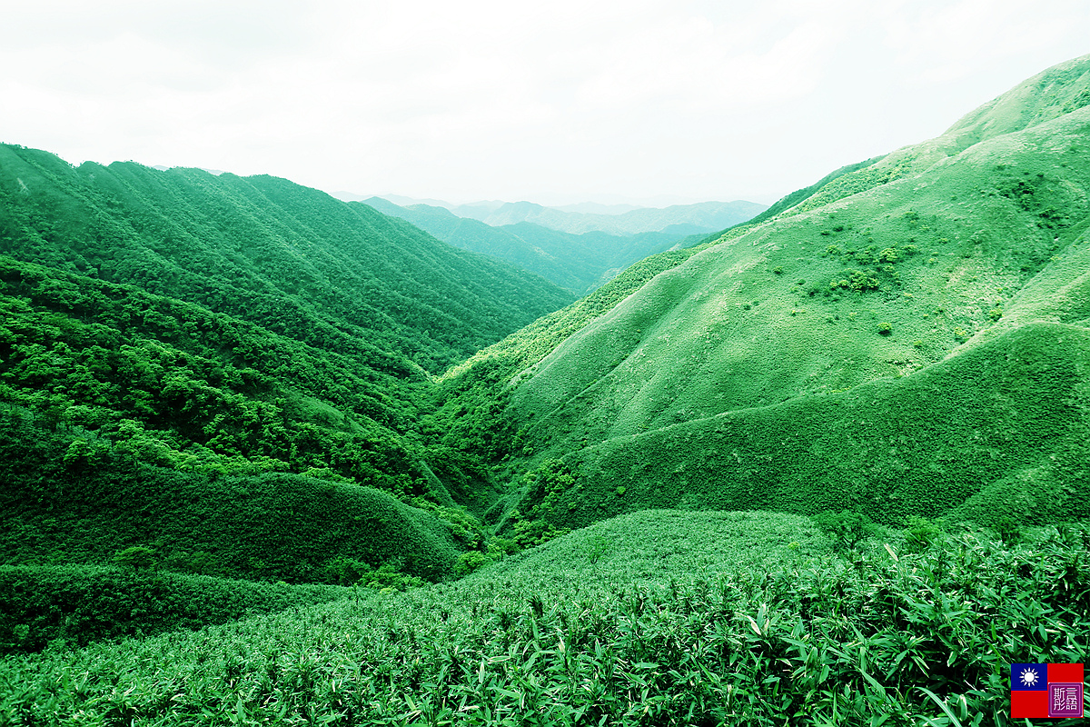 抹茶山 (127).JPG