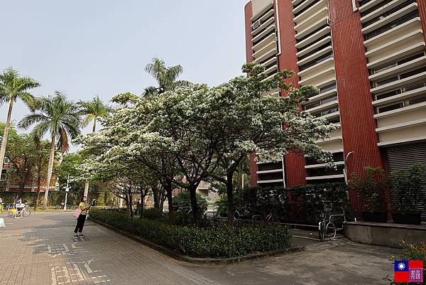 台灣大學 (9).JPG