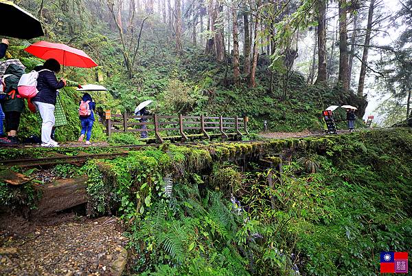 見晴懷古步道 (25).JPG