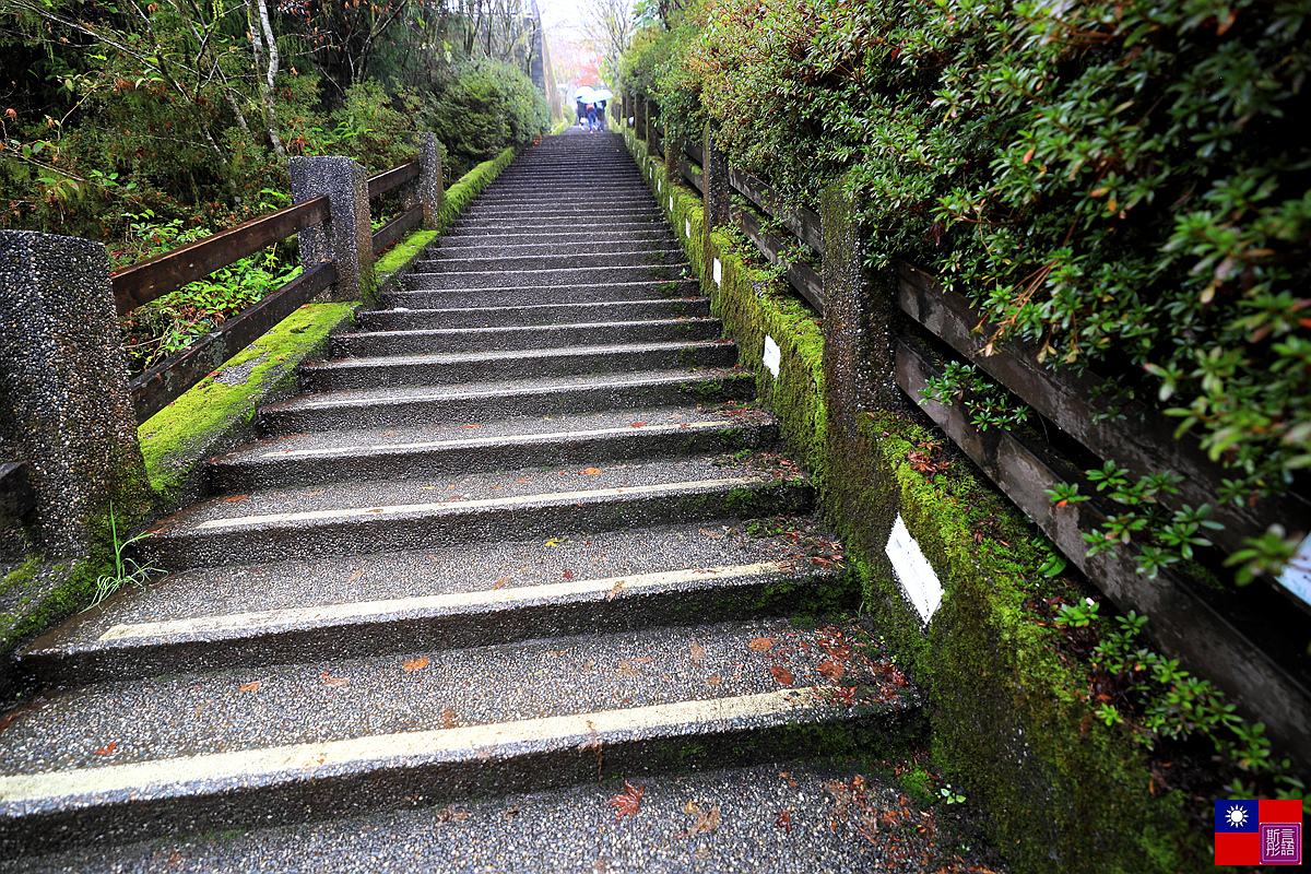 太平山森林樂園 (20).JPG