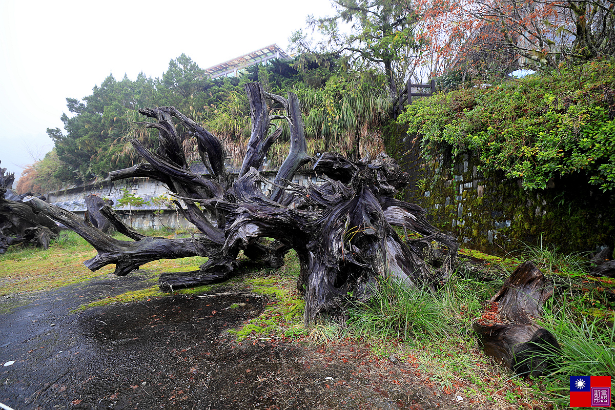 太平山森林樂園 (23).JPG