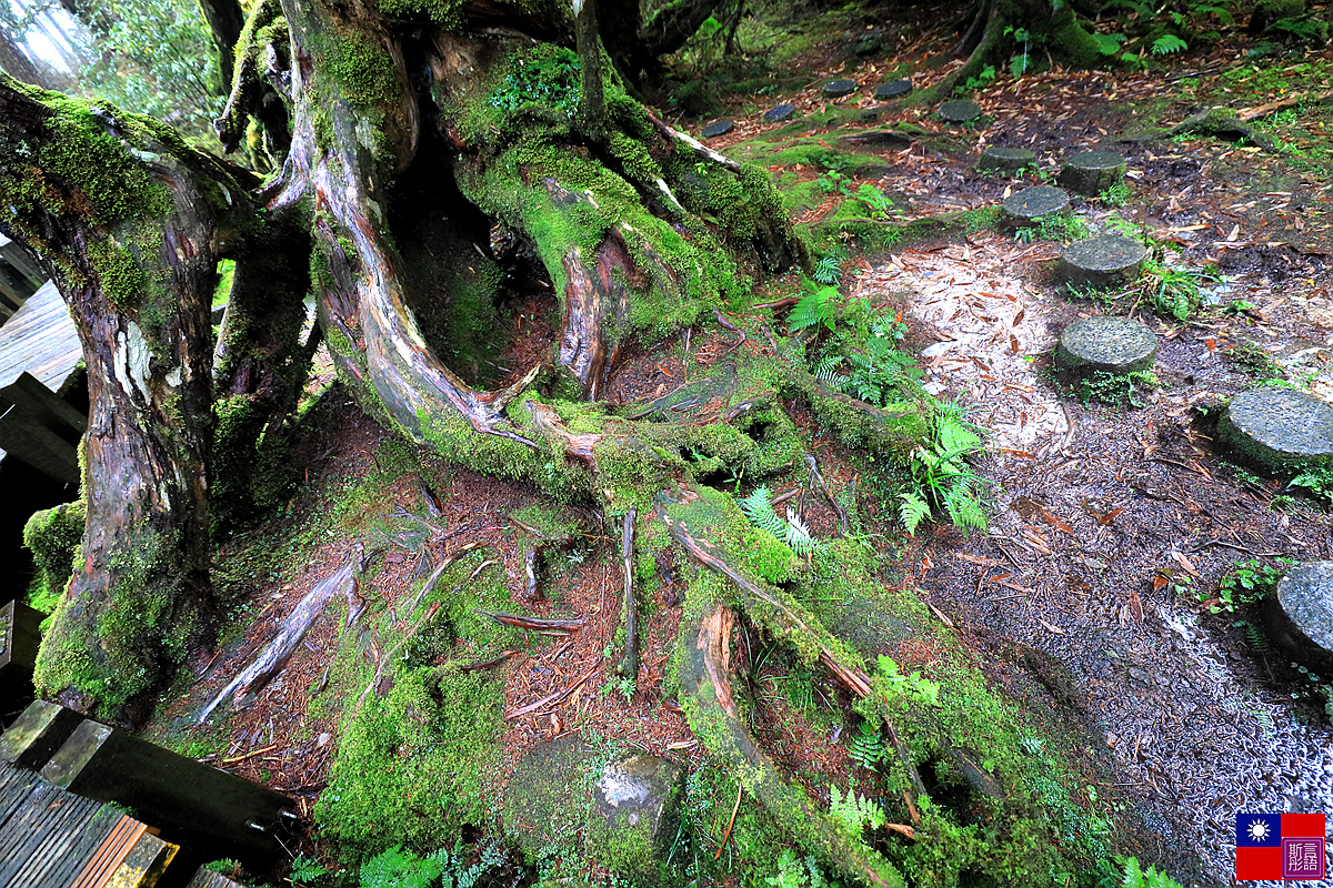 太平山森林樂園 (64).JPG