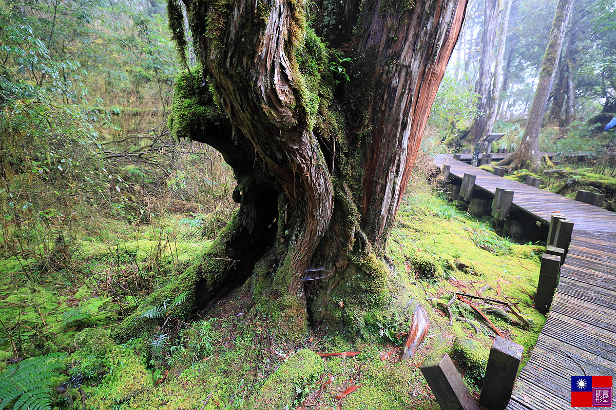 太平山森林樂園 (67).JPG