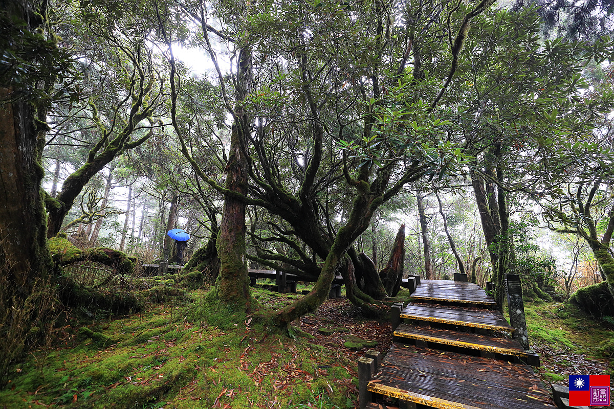 太平山森林樂園 (71).JPG