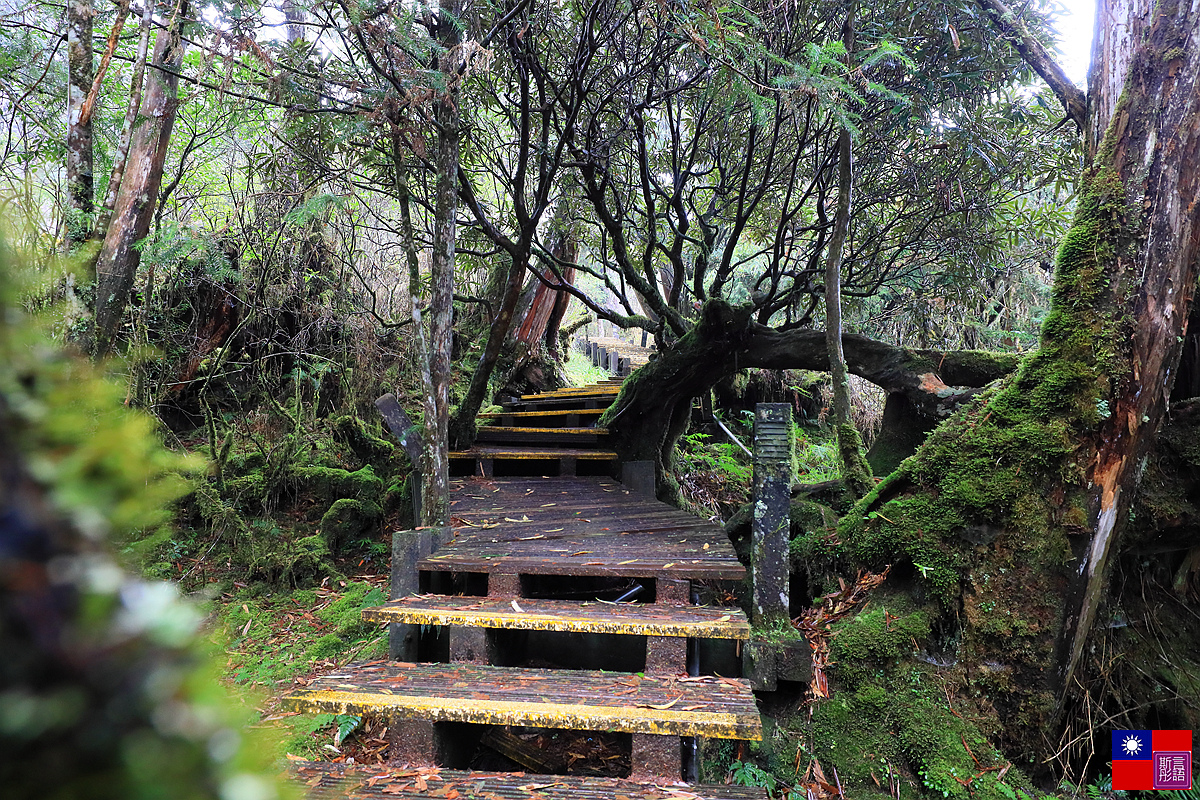 太平山森林樂園 (78).JPG