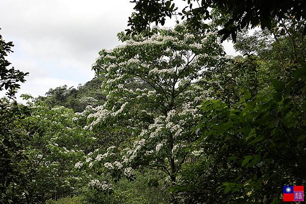 天上山 (122).JPG