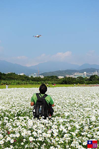 關渡花海 (26).JPG