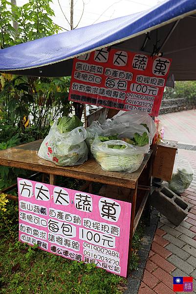 帝綸溫泉渡假大飯店 (18).JPG