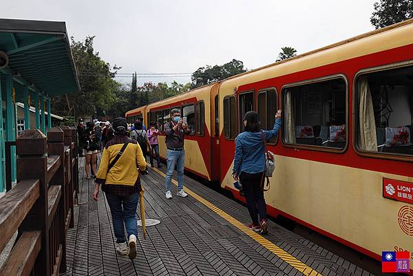 阿里山森林小火車 (4).JPG