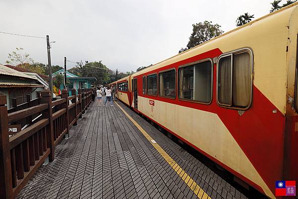 阿里山森林小火車 (9).JPG