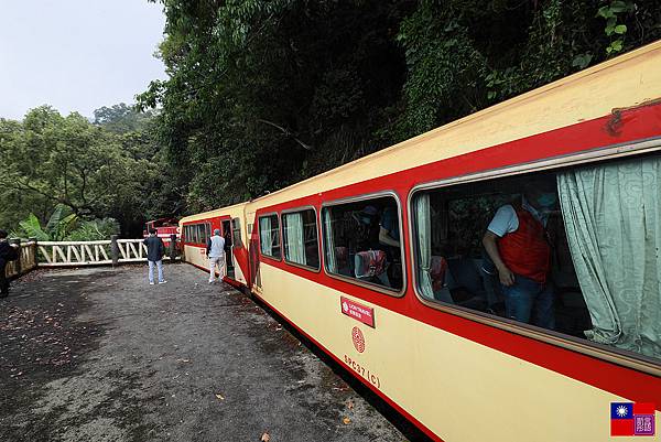 阿里山森林小火車 (38).JPG