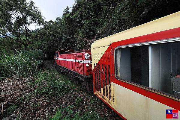 阿里山森林小火車 (44).JPG