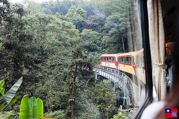 阿里山森林小火車 (48).JPG