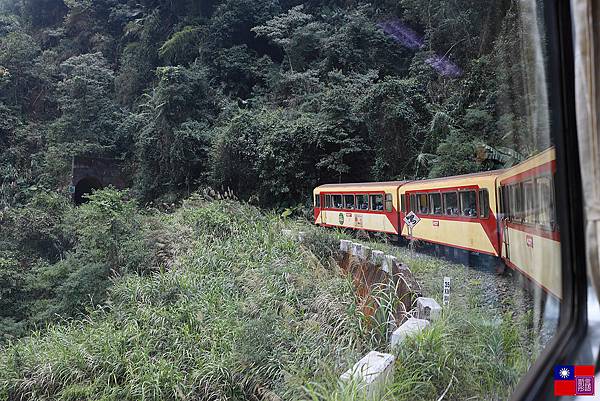 阿里山森林小火車 (49).JPG