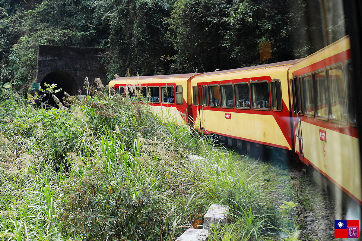 阿里山森林小火車 (50).JPG