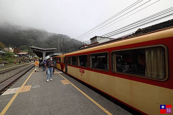 阿里山森林小火車 (56).JPG