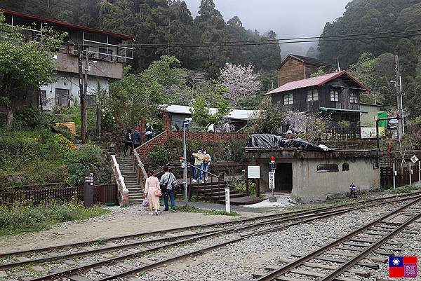 [嘉義-阿里山]-奮起湖 (69).JPG