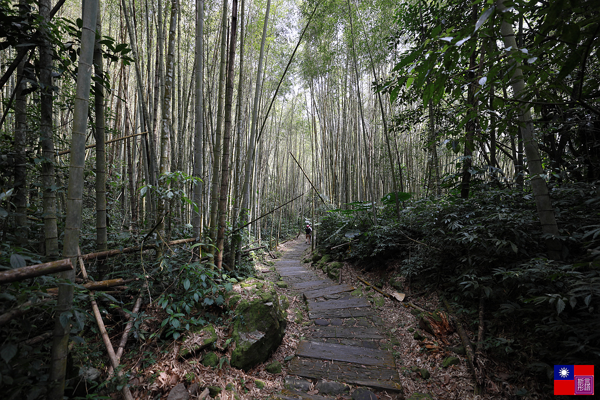 [嘉義-阿里山]-奮起湖 (74).JPG