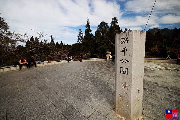 阿里山國家公園 (90).JPG