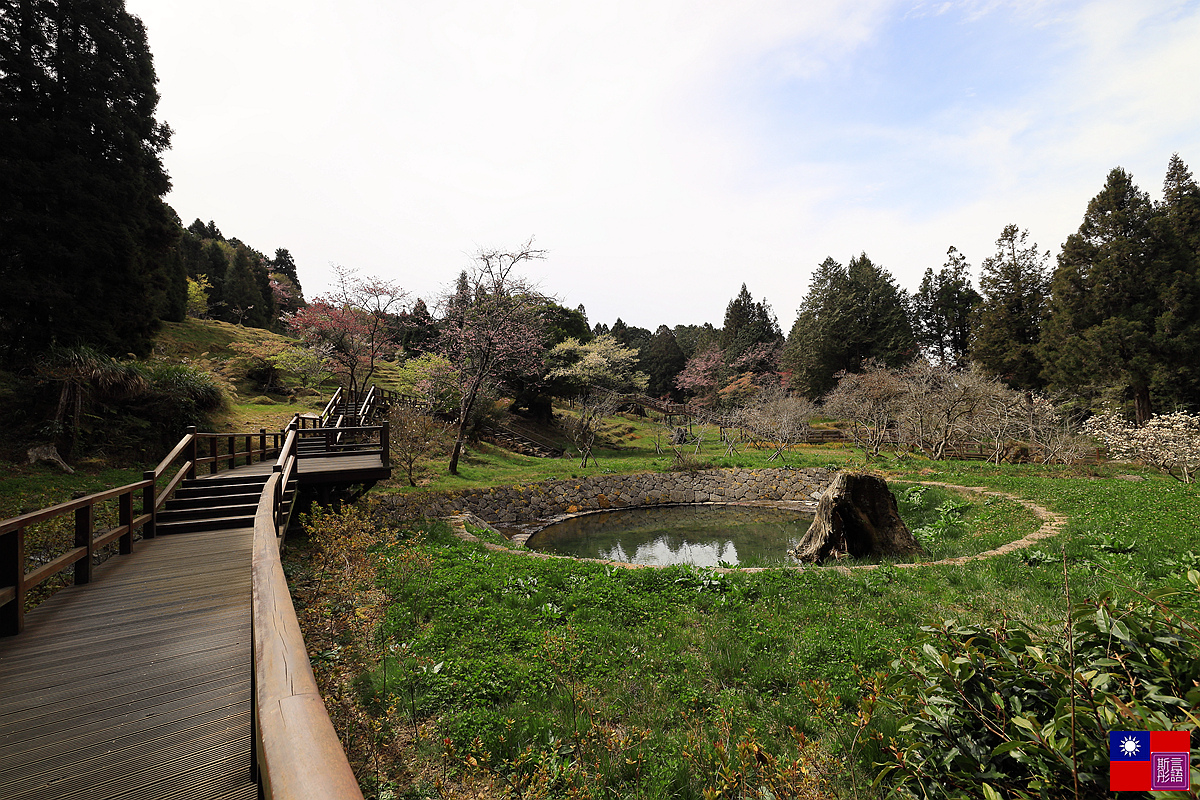 阿里山國家公園 (126).JPG