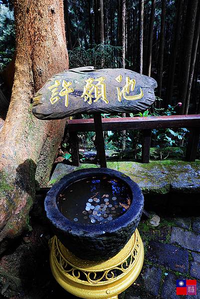 阿里山國家公園 (154).JPG