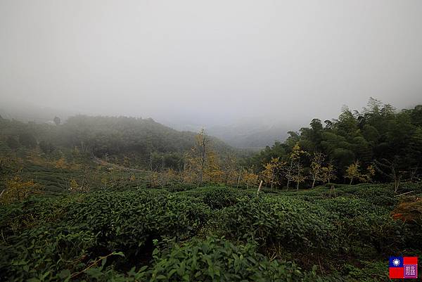 武岫農場 (18).JPG