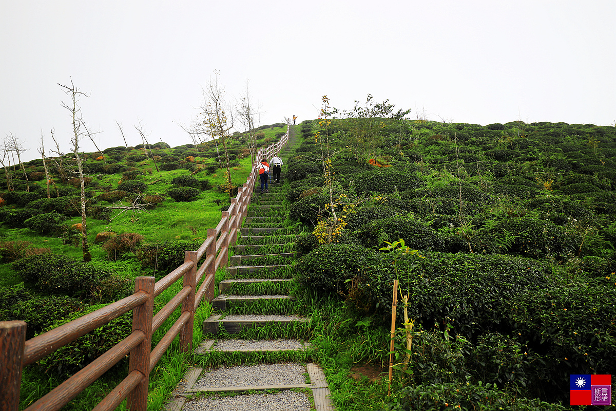 武岫農場 (24).JPG