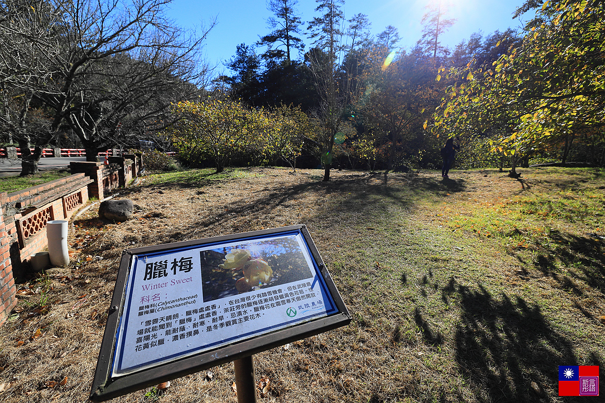 武陵農場 (108).JPG