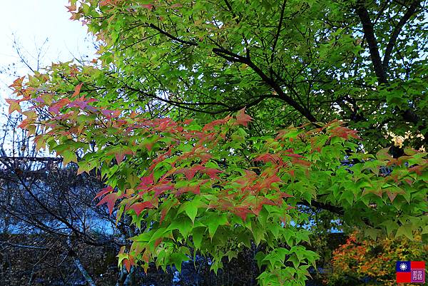 梨山賓館 (102).JPG