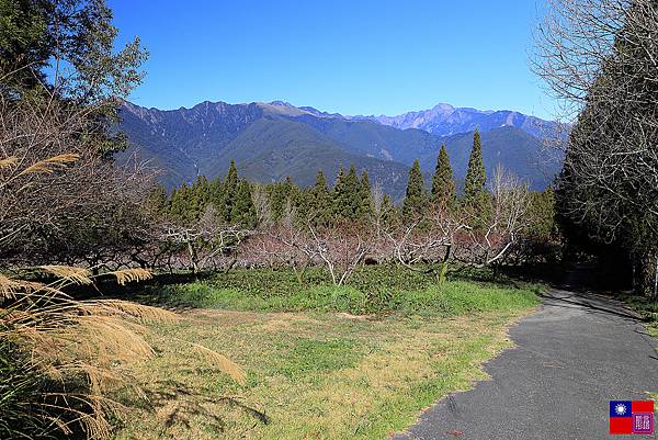 福壽山農場 (98).JPG