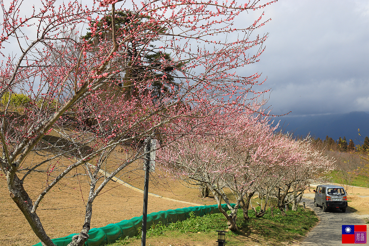 福壽山農場 (15).JPG