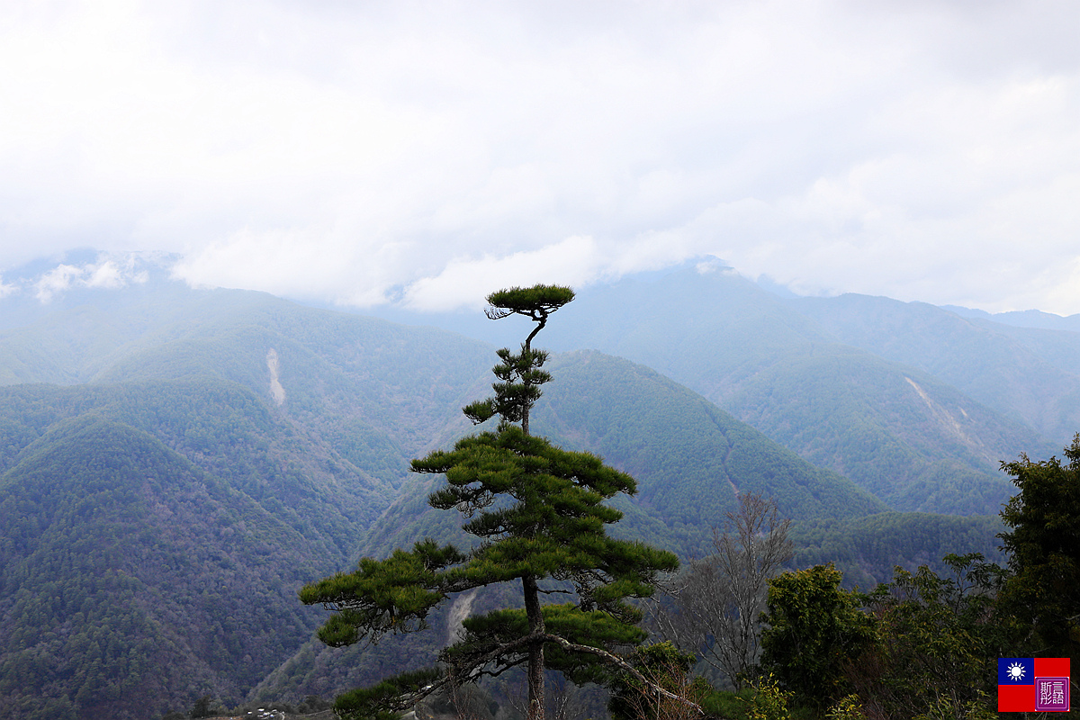 福壽山農場 (36).JPG