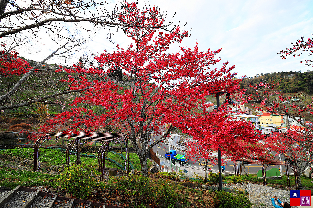 福壽山農場 (75).JPG