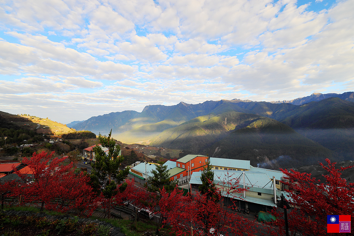 福壽山農場 (81).JPG