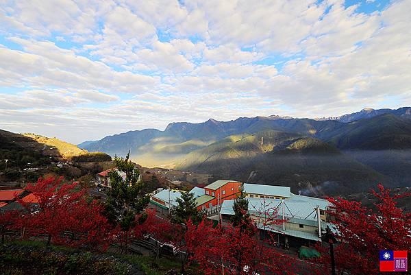 福壽山農場 (81).JPG