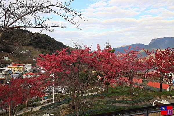 福壽山農場 (88).JPG