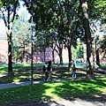 哈佛大學 (64).JPG