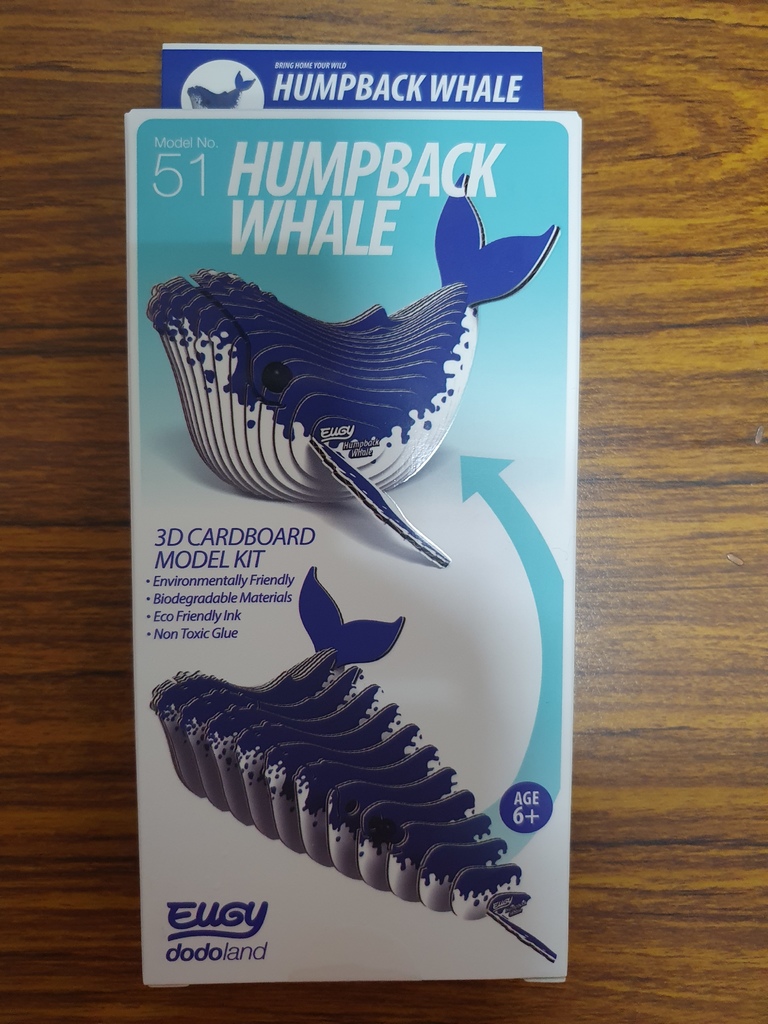 EUGY DODOLAND 3D 紙板拼圖 - 鯨魚