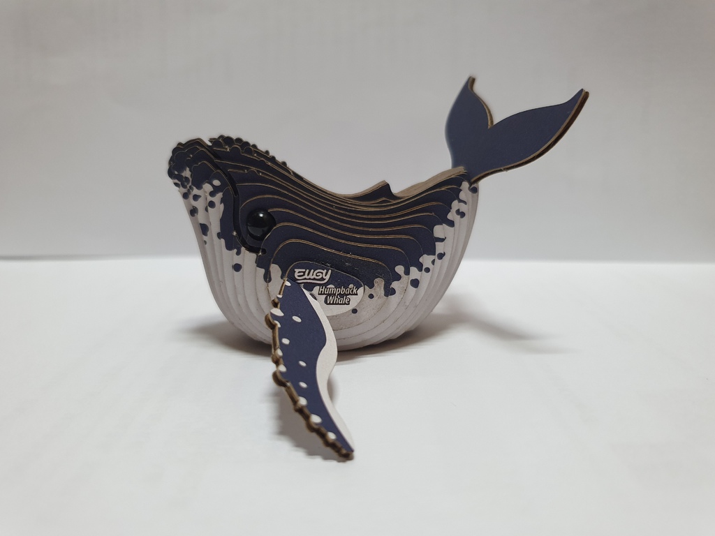 EUGY DODOLAND 3D 紙板拼圖 - 鯨魚組裝完成品