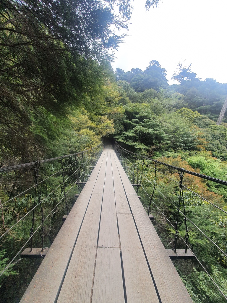 在爬山的道路上有好幾座吊橋