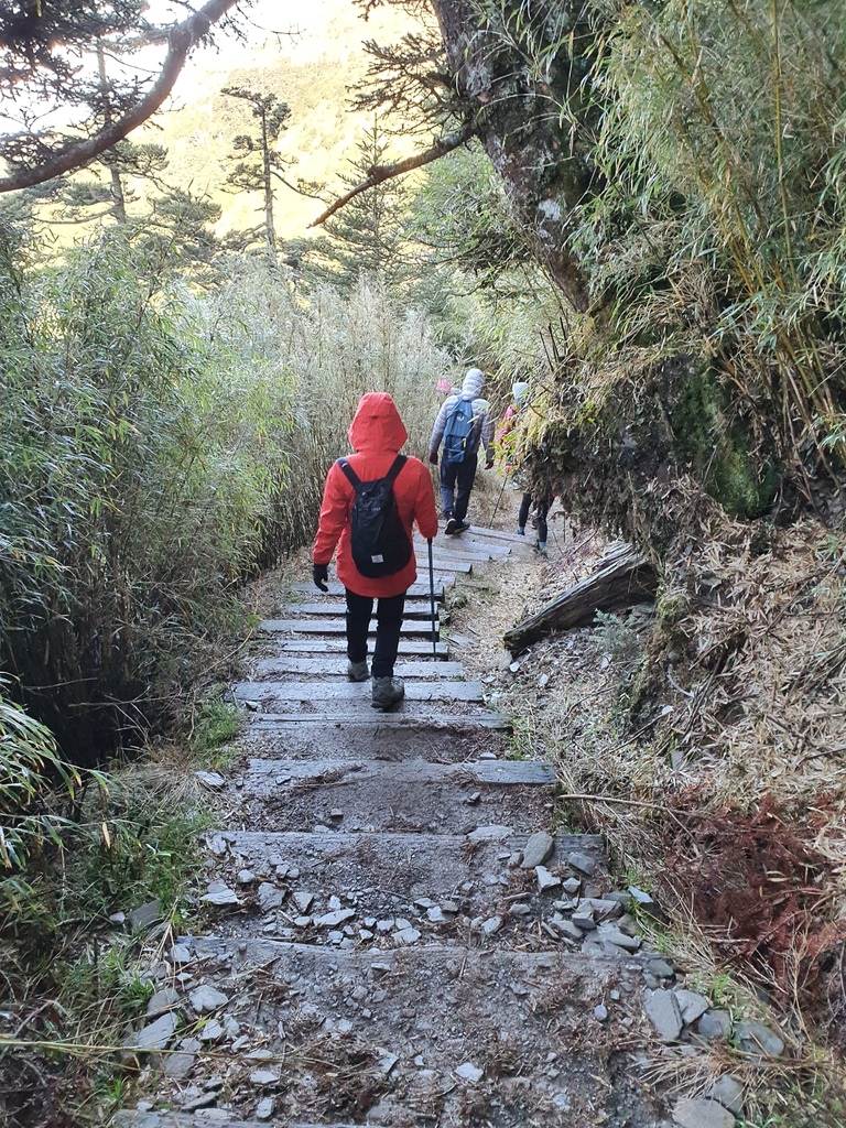 下山前往天池山莊，一路階梯，但凌晨摸黑上山就是上坡了