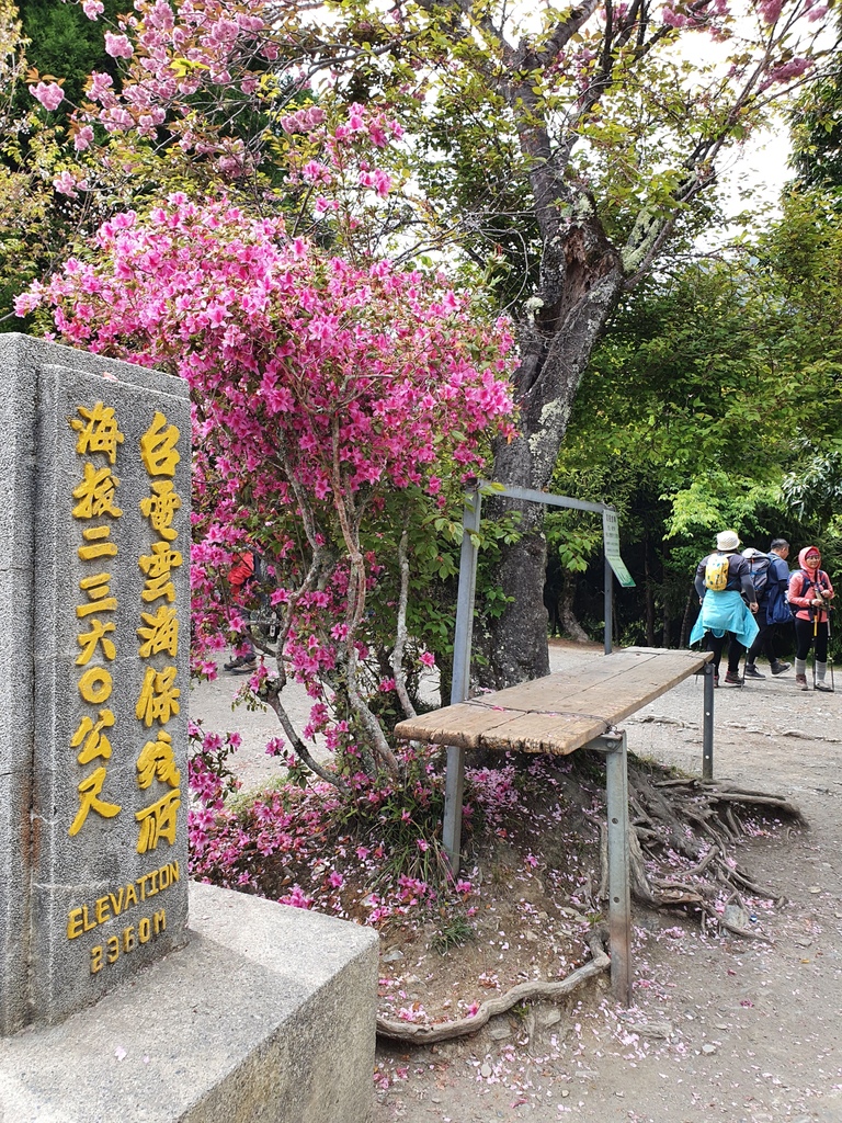 抵達台電雲海保線所海拔2360公尺