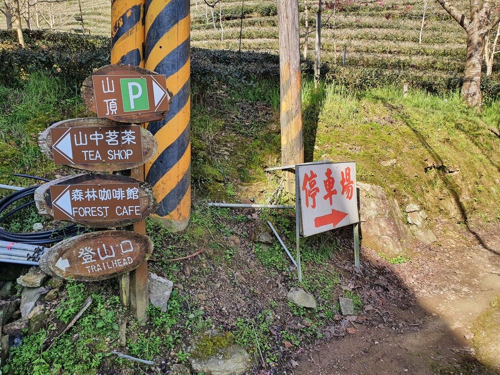 新竹山上人家森林農場山頂停車場要往上開到山頂