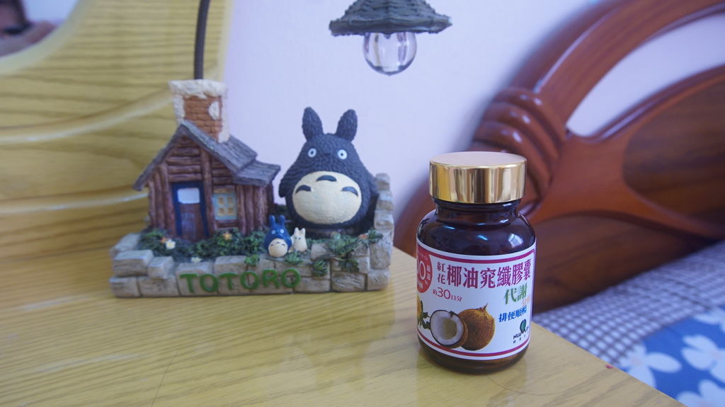 DSC04719.JPG 試用