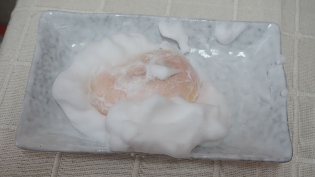 DSC07077.JPG 試用