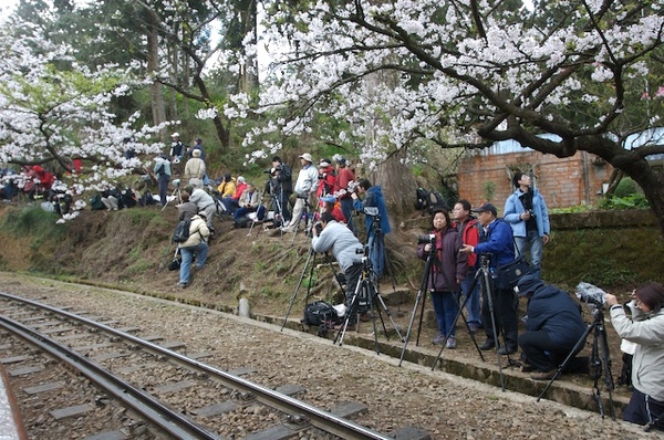 攝影“大師”們